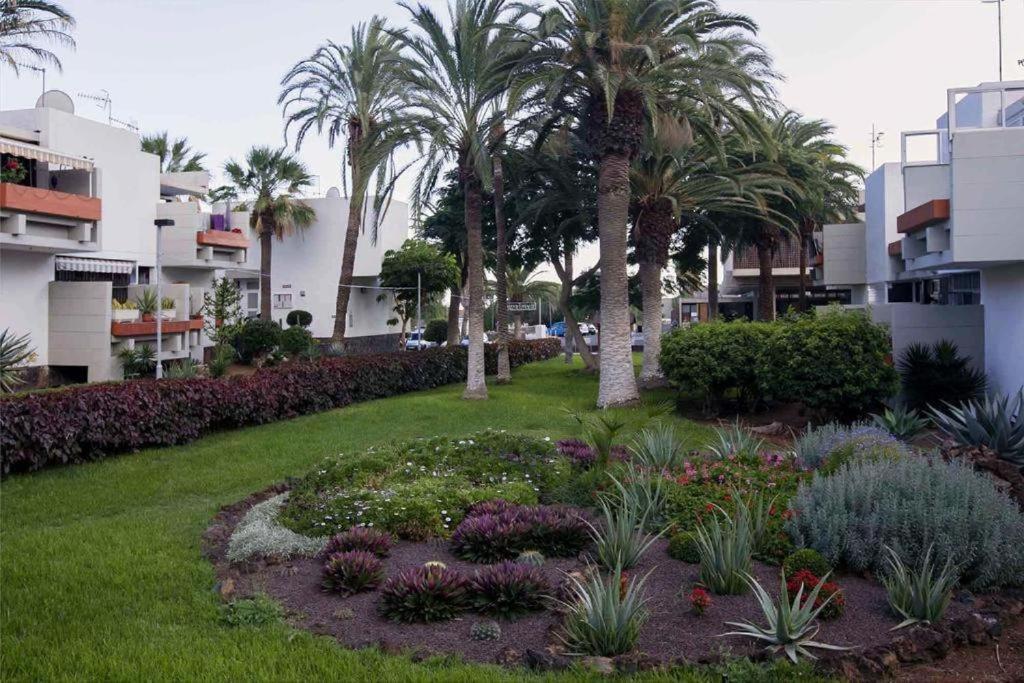 Tenerife Primavera Arona  Esterno foto